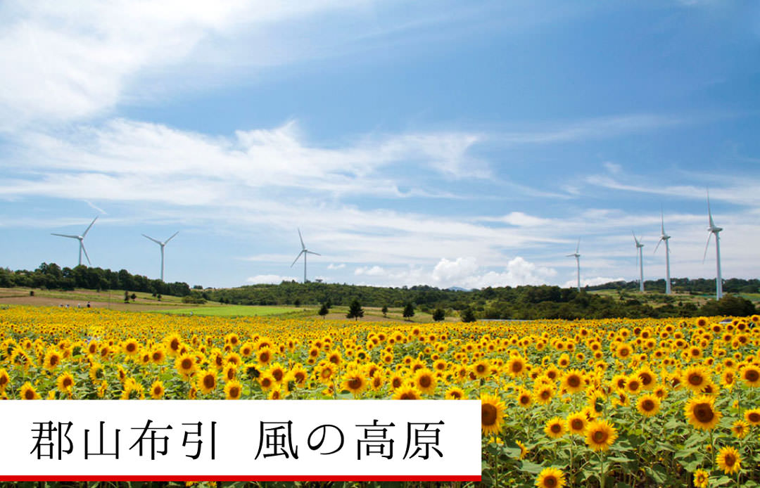 郡山布引 風の高原