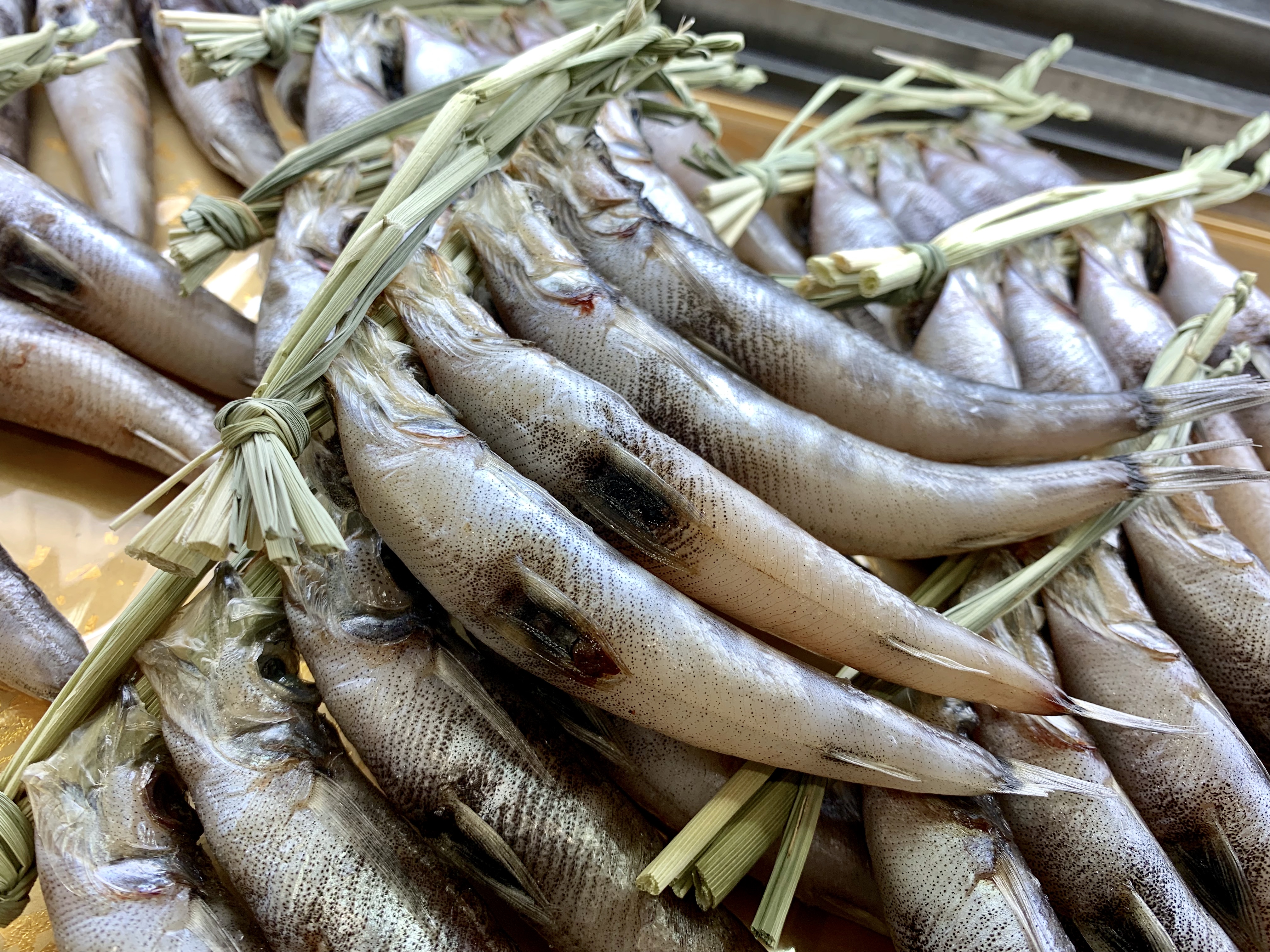 いわきで魚を買うならここ 試験操業の地魚も毎日入荷の 大川魚店 の品揃えが凄い トヨタレンタリース福島